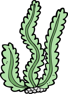 Bir insan tarafından çizilmiş karton deniz yosunu.