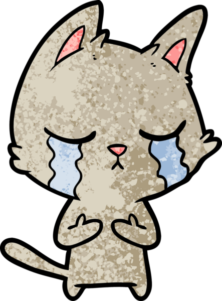 Bir insan tarafından çizilmiş ağlayan çizgi film kedisi.