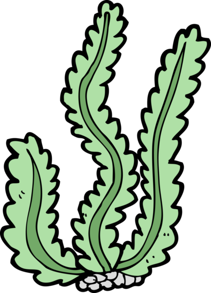 Bir insan tarafından çizilmiş karton deniz yosunu.