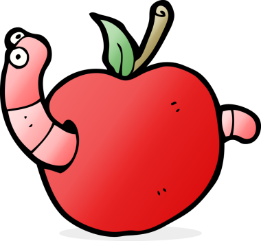 Bir insan tarafından çizilmiş elma solucanı.