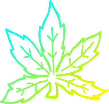 Bir insan tarafından çizilen marihuana yaprağının soğuk gradyan çizgisi.
