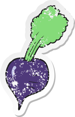 Bir insan tarafından çizilmiş pancar kökünün gerilmiş yapıştırması.