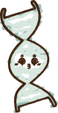 Bir insan tarafından çizilen DNA Strand Tebeşiri