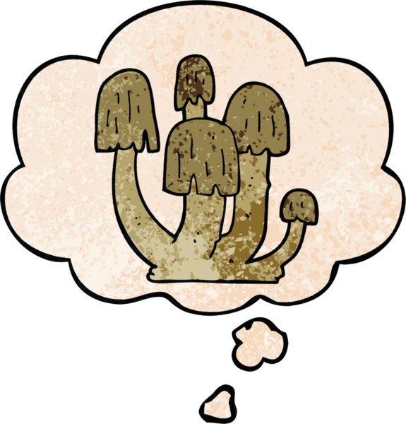 Bir insan tarafından çizilmiş grunge desenli düşünce baloncuklu mantarlar.