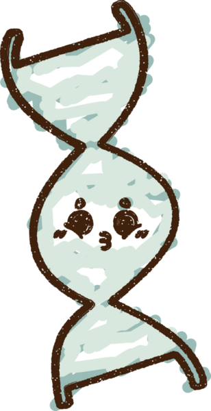 Bir insan tarafından çizilen DNA Strand Tebeşiri