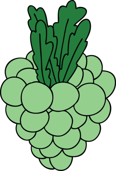 Bir insan tarafından çizilmiş garip bir üzüm demeti.