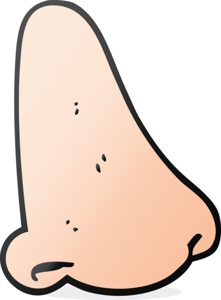 Bir insan tarafından çizilmiş serbest çizim insan burnu