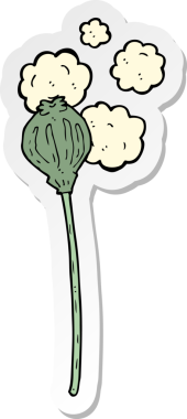 Bir insan tarafından çizilmiş kurutulmuş haşhaş yapıştırması.