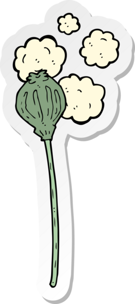 Bir insan tarafından çizilmiş kurutulmuş haşhaş yapıştırması.