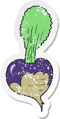 Bir insan tarafından çizilmiş pancar kökünün gerilmiş yapıştırması.