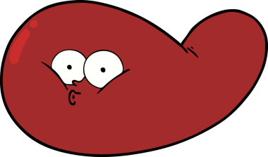 bir insan tarafından çizilmiş safra kesesi.