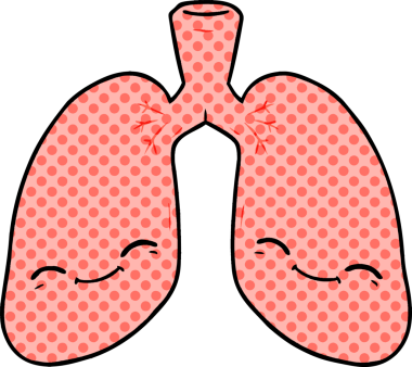 Bir insan tarafından çizilmiş karikatür ciğerleri.