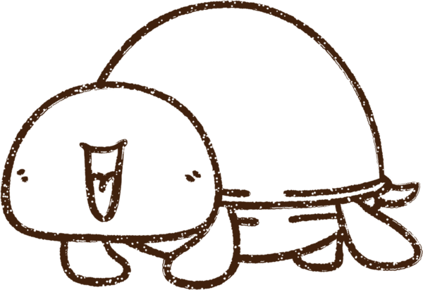 Bir insan tarafından çizilen Mutlu Kaplumbağa Kömürü