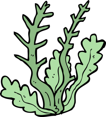 Bir insan tarafından çizilmiş karton deniz yosunu.