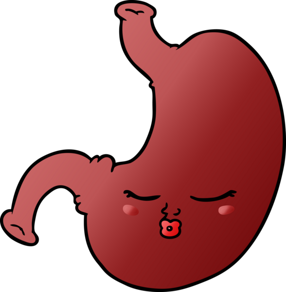 Bir insan tarafından çizilmiş midem.