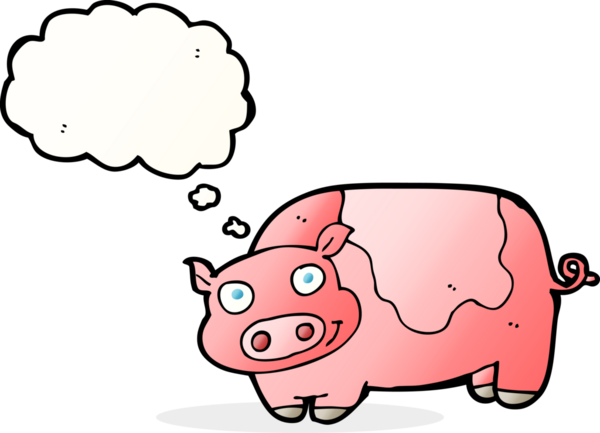Bir insan tarafından çizilmiş düşünce balonlu çizgi film domuzu.