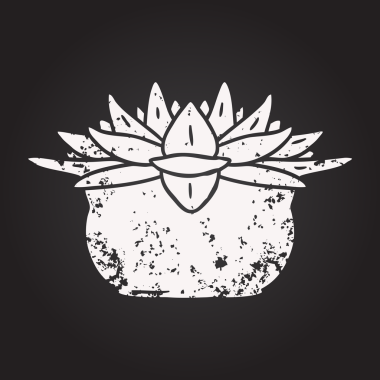 Karatahta tebeşir karikatür bir insan tarafından çizilmiş sulu bitki.