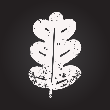 Karatahta tebeşir, bir insan tarafından çizilmiş meşe yaprağı.