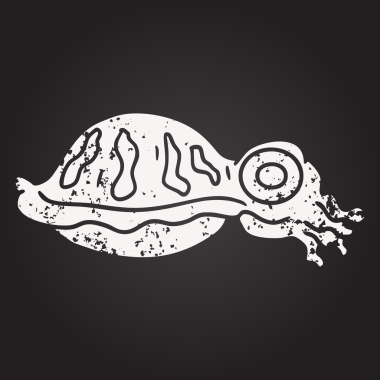 Bir insan tarafından çizilmiş karatahta mürekkep balığı karikatürü