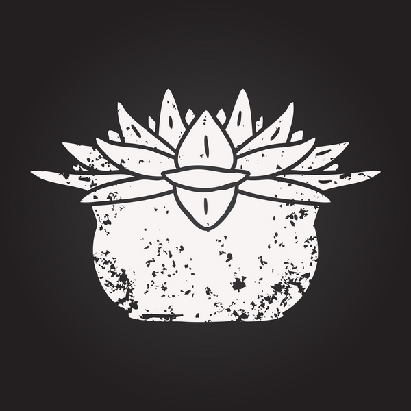 Karatahta tebeşir karikatür bir insan tarafından çizilmiş sulu bitki.