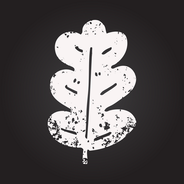 Karatahta tebeşir, bir insan tarafından çizilmiş meşe yaprağı.