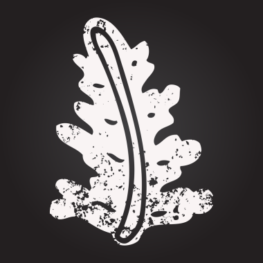 Bir insan tarafından çizilmiş kara tahta tebeşir yaprağı.