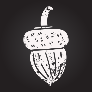 Bir insan tarafından çizilmiş karatahta meşe palamudu.