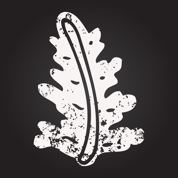 Bir insan tarafından çizilmiş kara tahta tebeşir yaprağı.