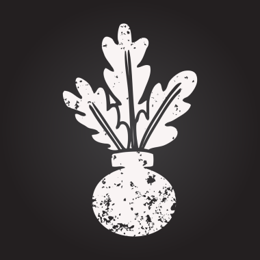 Vazoda bir insan tarafından çizilmiş bir ev bitkisinin karatahta çizimi