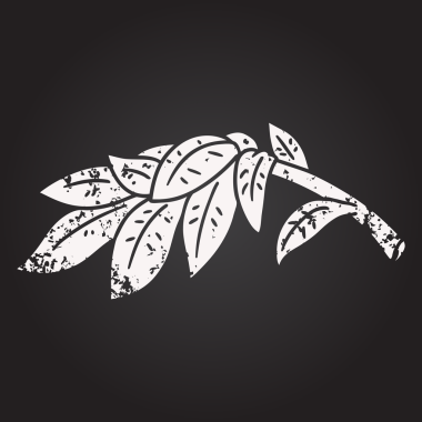 Bir insan tarafından çizilmiş kara tahta karikatür yaprakları.