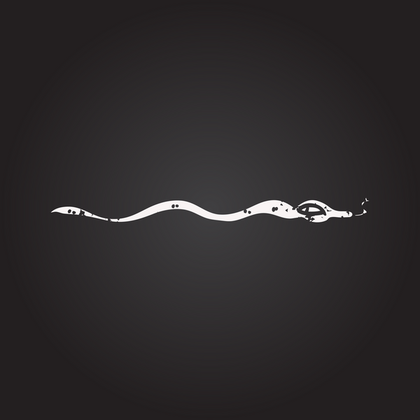 Karatahta tebeşirle çizilmiş zehirli yılan bir insan tarafından çizilmiş.