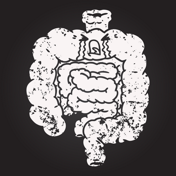 Kara tahta tebeşir karikatür bağırsakları bir insan tarafından çizilmiş.