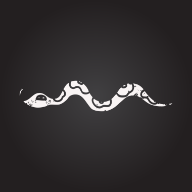 Karatahta tebeşirle insan tarafından çizilmiş çizgi film yılanı.