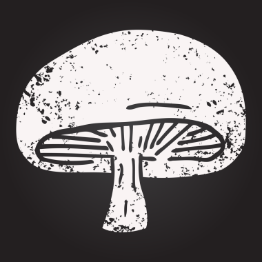 Karatahta tebeşirle çizilmiş kestane mantarı insan tarafından çizilmiş.