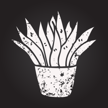 Karatahta tebeşiri bir insan tarafından çizilmiş karikatür evi bitkisi