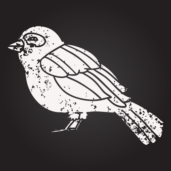 Bir insan tarafından çizilmiş kara tahta tebeşir çizgi film kuşu.