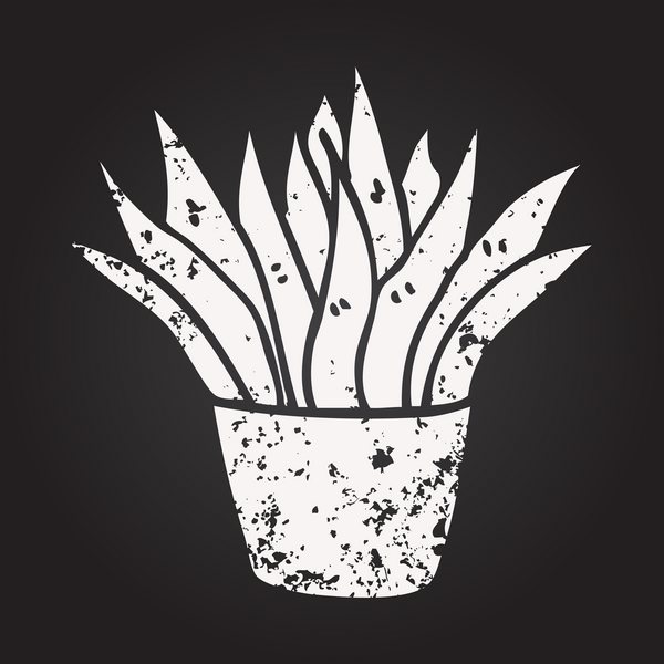 Karatahta tebeşiri bir insan tarafından çizilmiş karikatür evi bitkisi