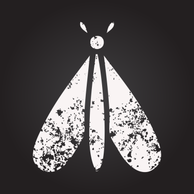 Bir insan tarafından çizilmiş güve böceğinin karikatürü.