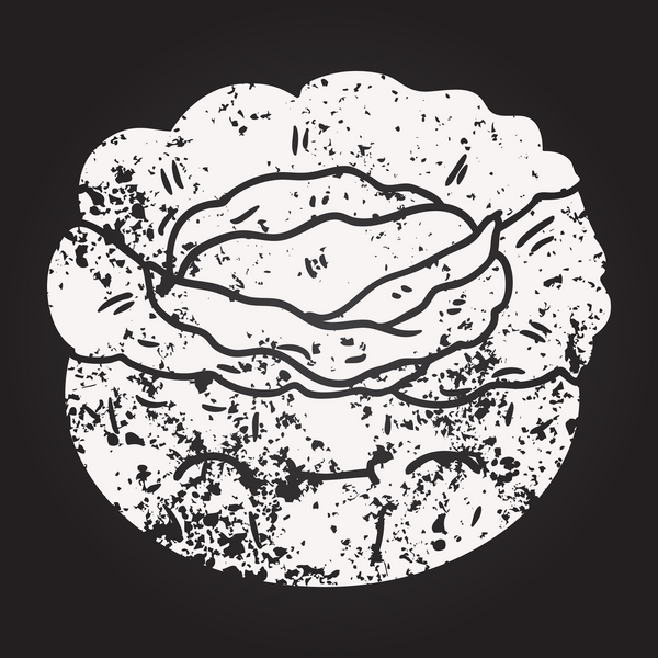 Bir insan tarafından çizilmiş kara tahta tebeşirli lahana.