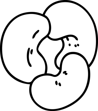 Bir insan tarafından çizilmiş çerez ikonu için çinko içerikli sağlıklı fındık karalaması.