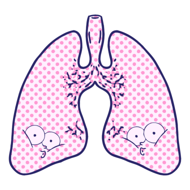 parlak neon renkli karton ciğerler