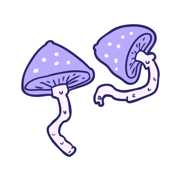 parlak neon renkli vahşi mantarlar