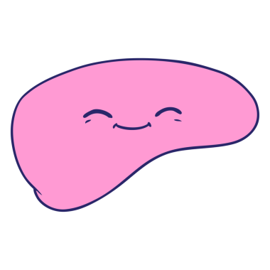 parlak neon renkli karaciğer