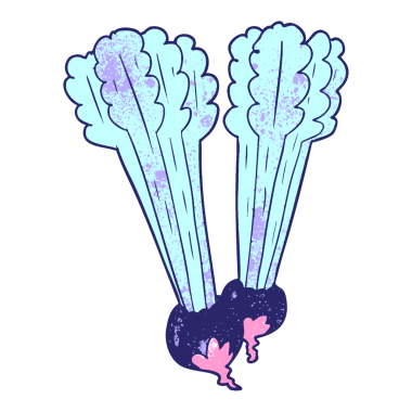 parlak neon renkli pancar kökleri