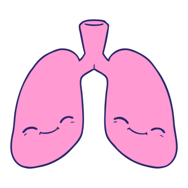 parlak neon renkli karton ciğerler