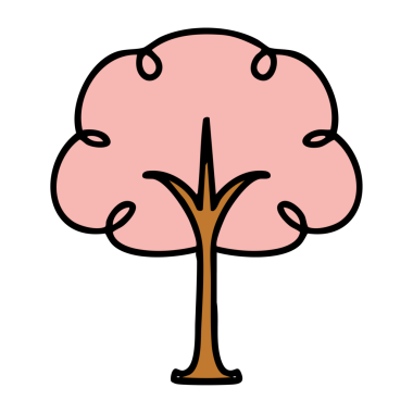 Çiçek açmış kiraz ağacı.