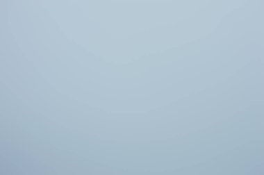 Dökülen Yapraklar Temizlendikten sonra Toplanıyor ve Geri Dönüşüm İçin Bir Bahçe Parkında Toplanıyor.