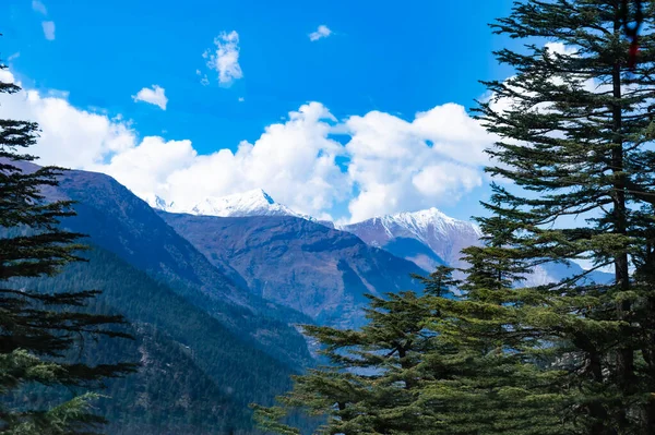 Hoge Dennenbomen Voorgrond Framing Mooie Drijvende Wolken Besneeuwde Homalayaanse Berg — Stockfoto