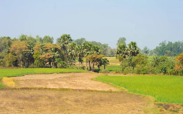 前景の農地と青空を背景にした距離にある別荘 パノラマ風景 西ベンガル州 南アジア太平洋 — ストック写真