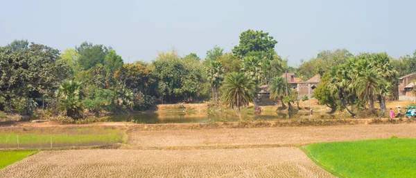 Vista Panorâmica Paisagem Aldeia Pôr Sol Burdwan Bengala Ocidental Índia — Fotografia de Stock